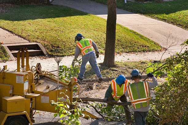 Lawn Watering Services in Jamestown West, NY